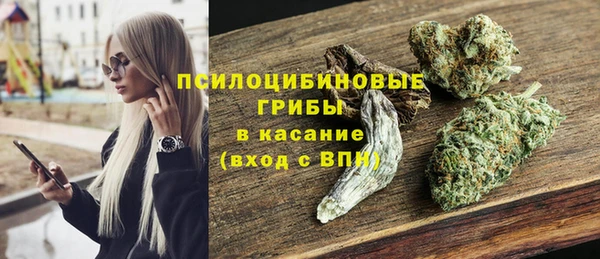 индика Алексеевка