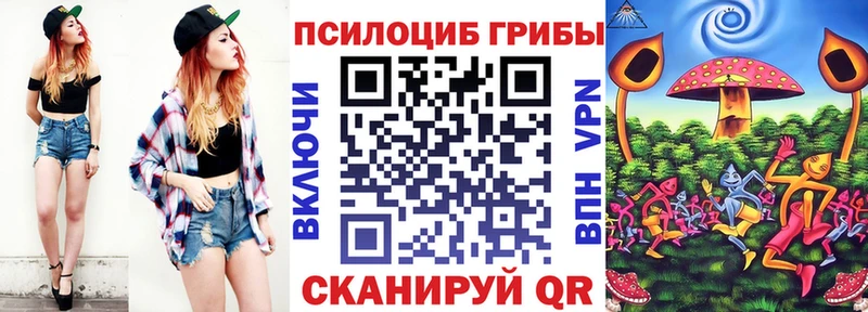 где продают наркотики  Всеволожск  Галлюциногенные грибы Cubensis 
